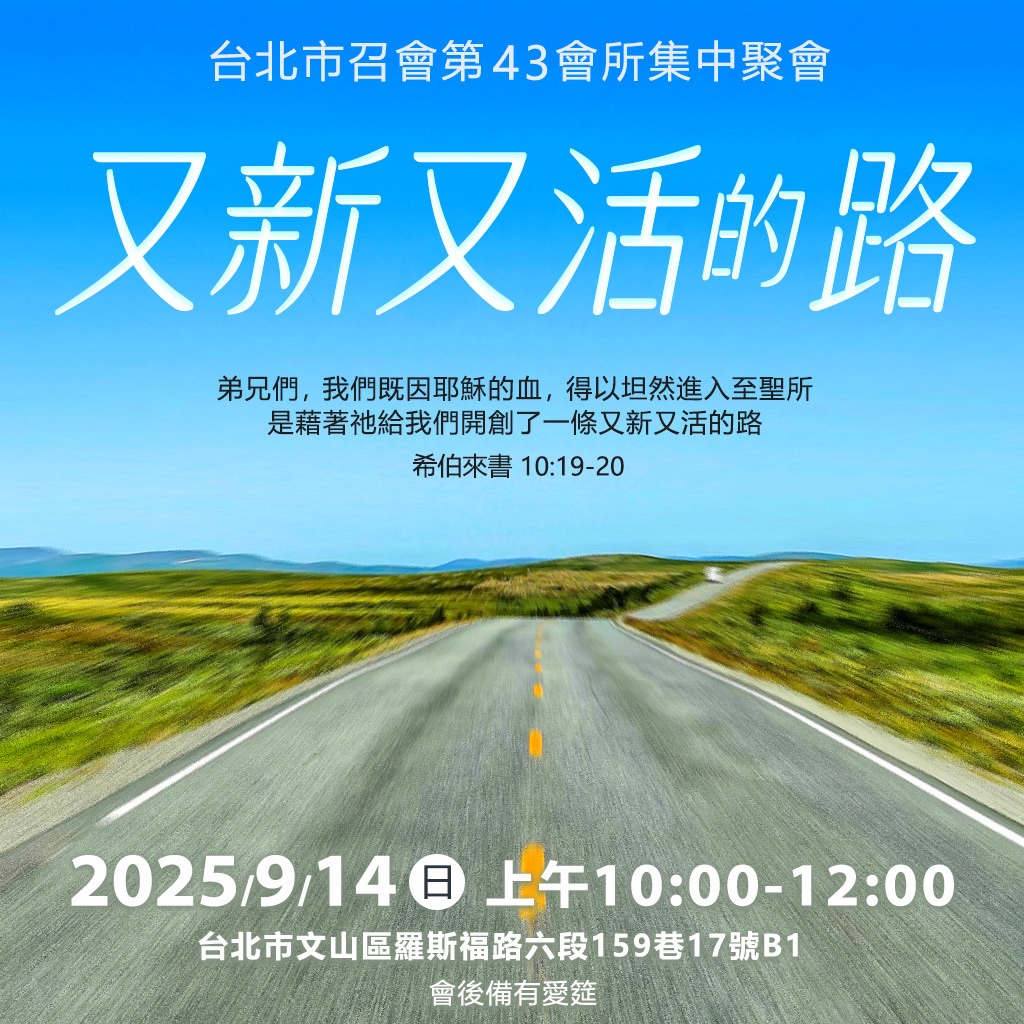又新又活的路